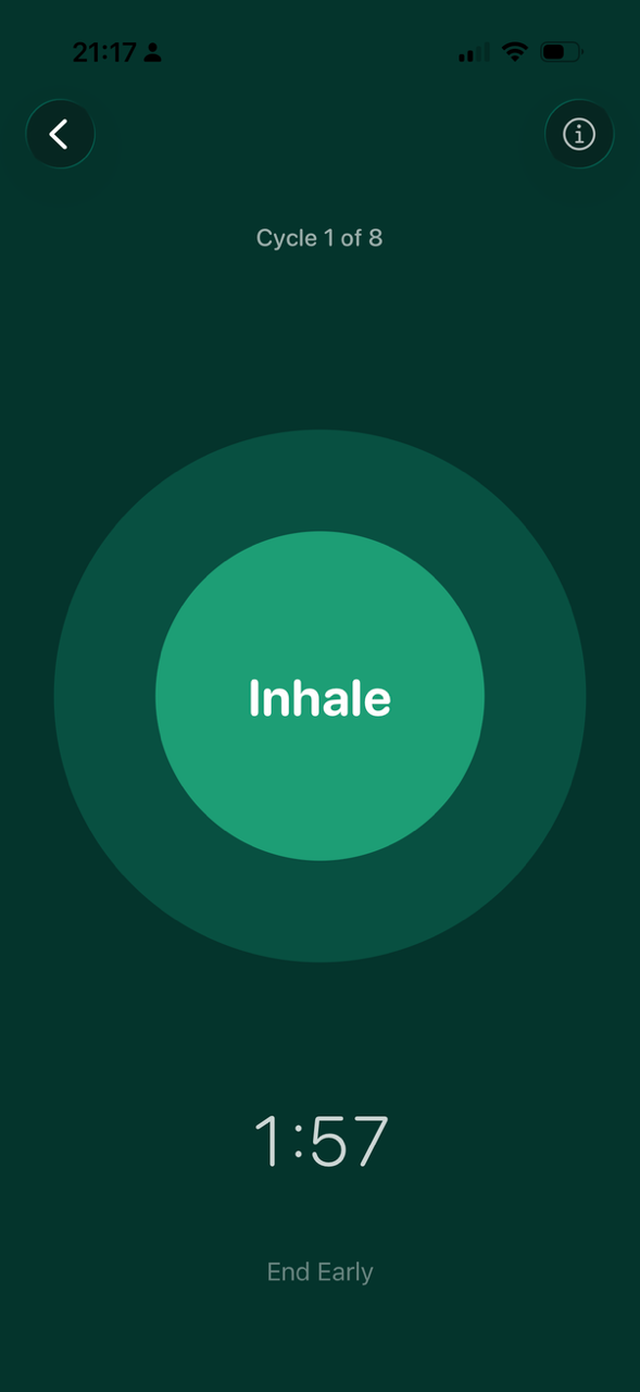 Breathing exercise in-session with an inhale circle and countdown timer.